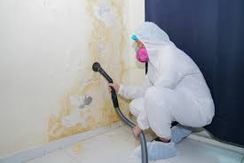 Best Industrial Mold Remediation  in Gettysburg, PA